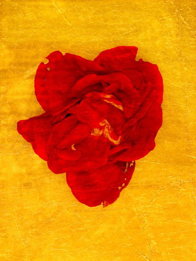 Aurum I von Michael Wissing