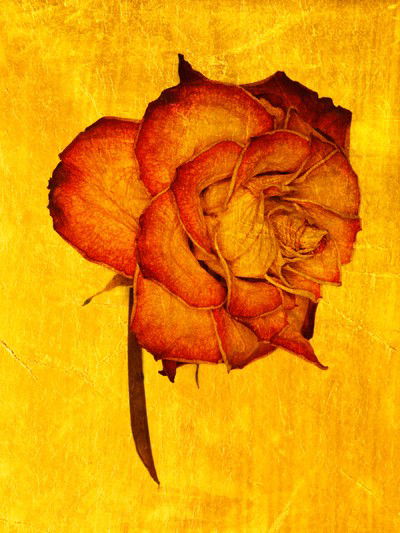 Aurum VII von Michael Wissing