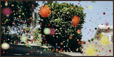 Bouncy III von Peter Funch