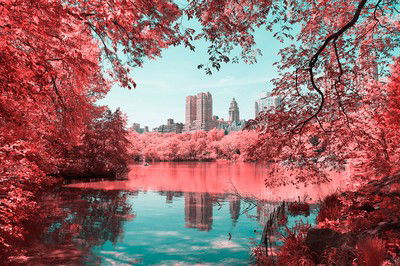 Infrared NYC I von Paolo Pettigiani