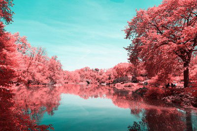 Infrared NYC III von Paolo Pettigiani