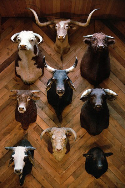 Texas, USA, 1975 von Robert Lebeck