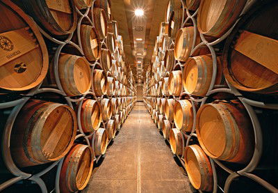 Sassicaia, Bolgheri, Italy von Rafael Neff