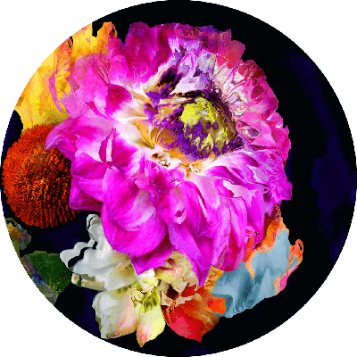 "bloom v7.2" von René Twigge