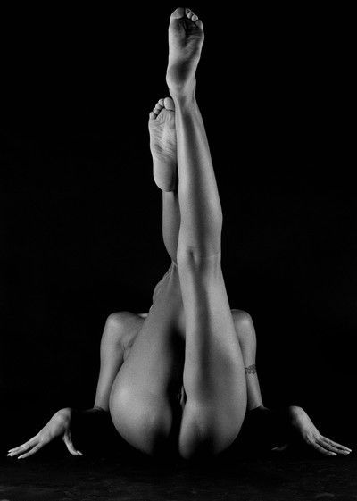 up to the limit von Sylvie Blum