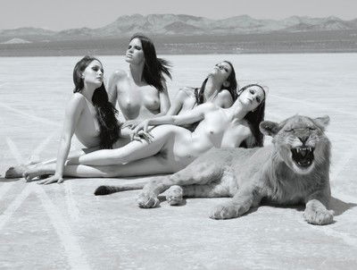 Big Cat von Sylvie Blum