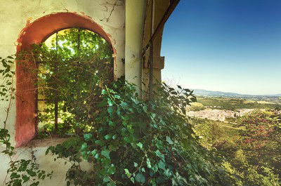Hillside de Sven Fennema
