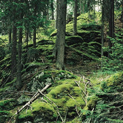 o.t. (Tarasp) von Stephanie Kloss