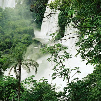 o.t. (Foz do Iguacu) von Stephanie Kloss
