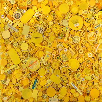 Yellow by Shelia Rogers