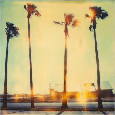 Palm Tree Restaurant von Stefanie Schneider