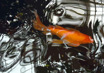 Goldfisch III von Susanne Wehr