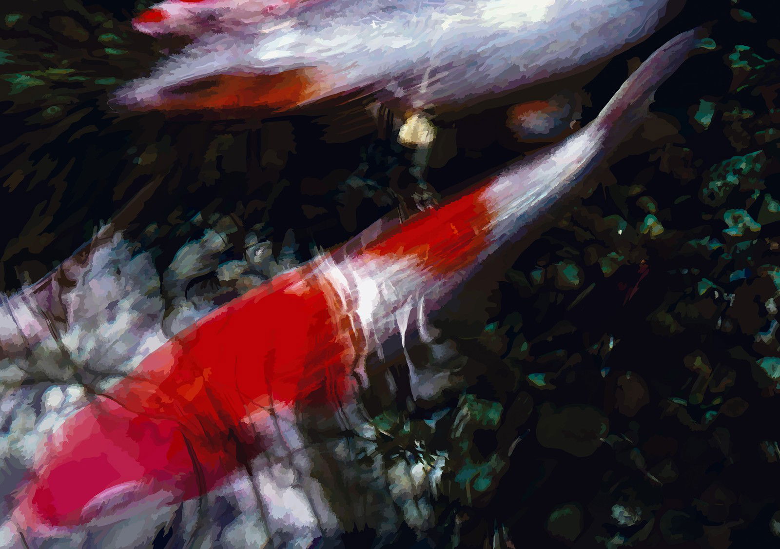 Koi I von Susanne Wehr Koi I von Susanne Wehr