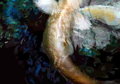 Koi II von Susanne Wehr
