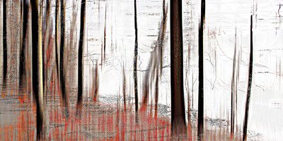 wood_0870 von Sabine Wild