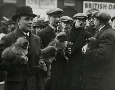 Hundemarkt in London von Martin Munkacsi