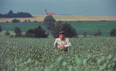 Woyzeck 3 von Werner Herzog