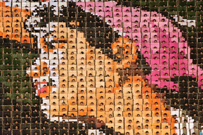 Mass Games Pyongyang #09 by Werner Kranwetvogel