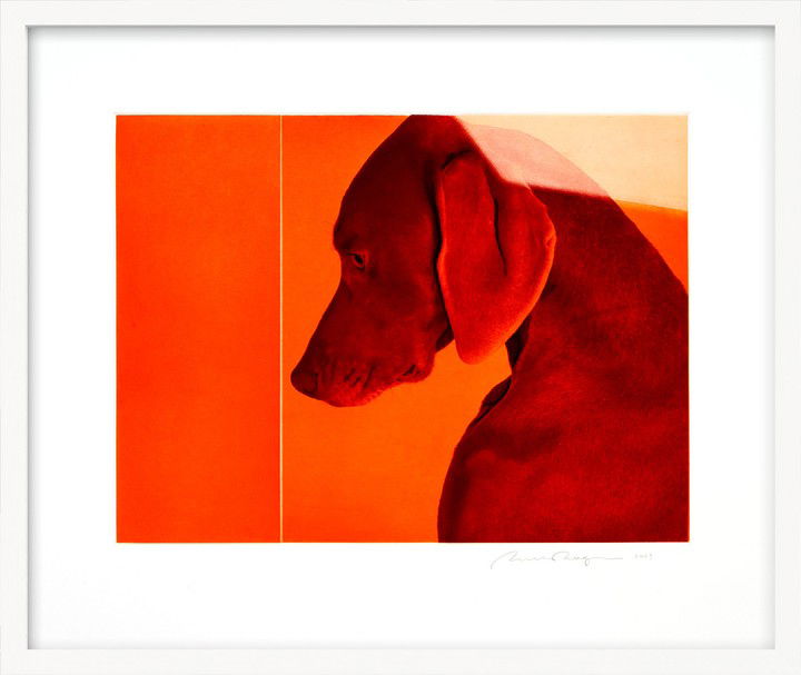 William of Orange by William Wegman William of Orange by William Wegman