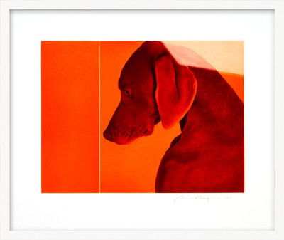 William of Orange von William Wegman