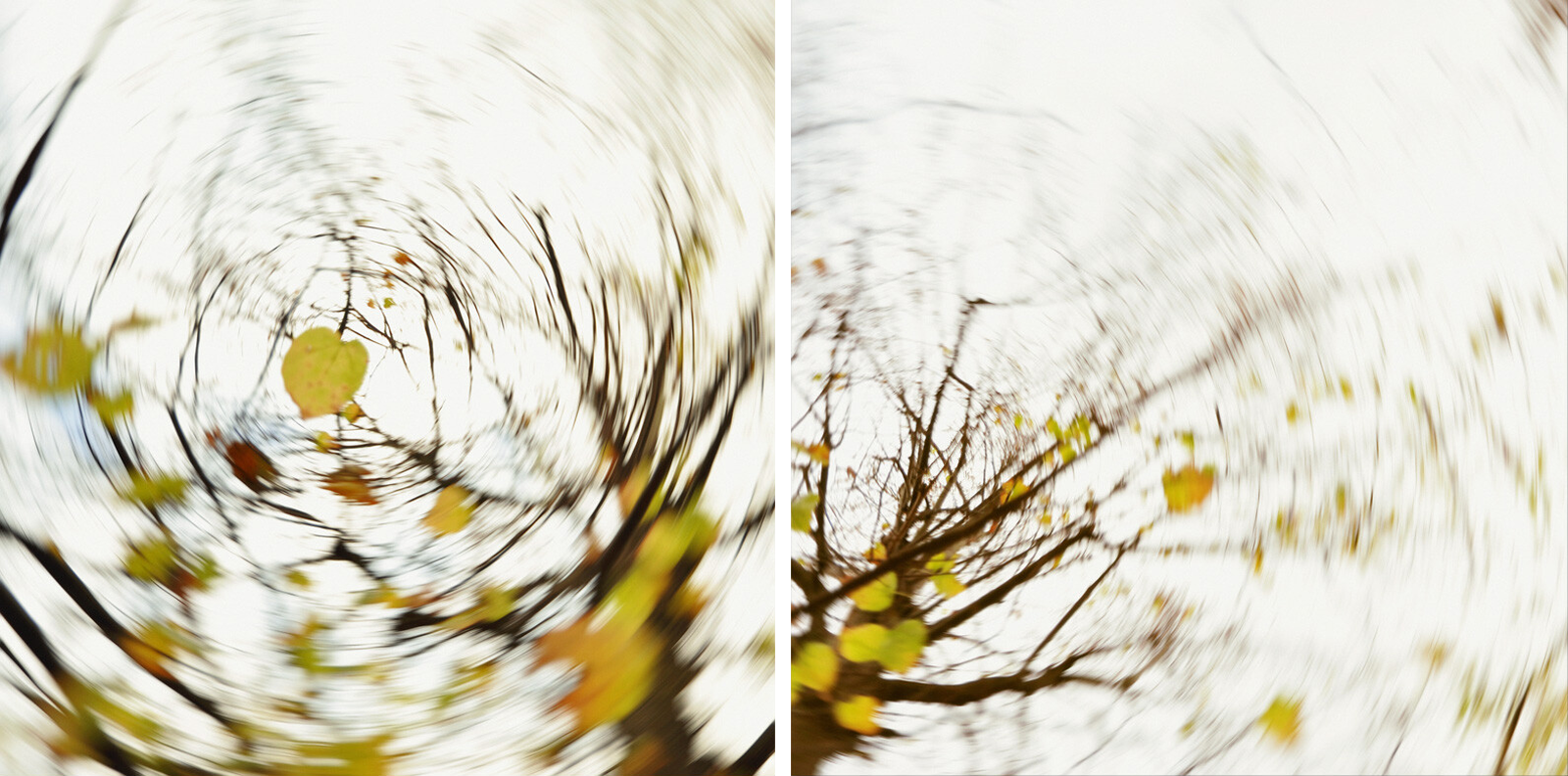 pieces of autumn VIII - Carolin Wolf